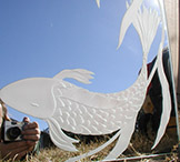 Koi fish mirror detail — etched