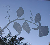 Morning glory carved mirror detail1 — etched